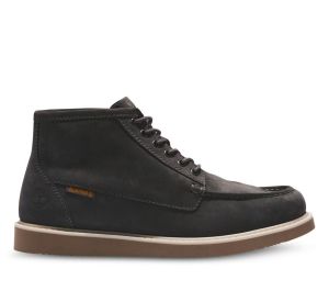 A1tql931 new arrivals