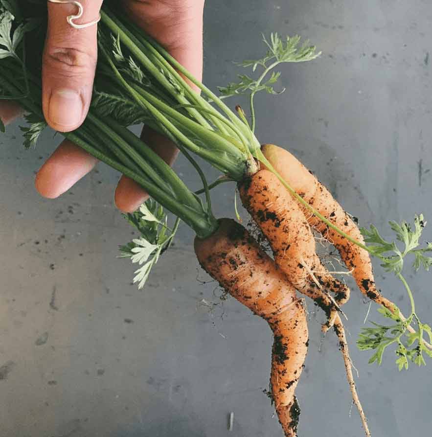sydneyzerowaste