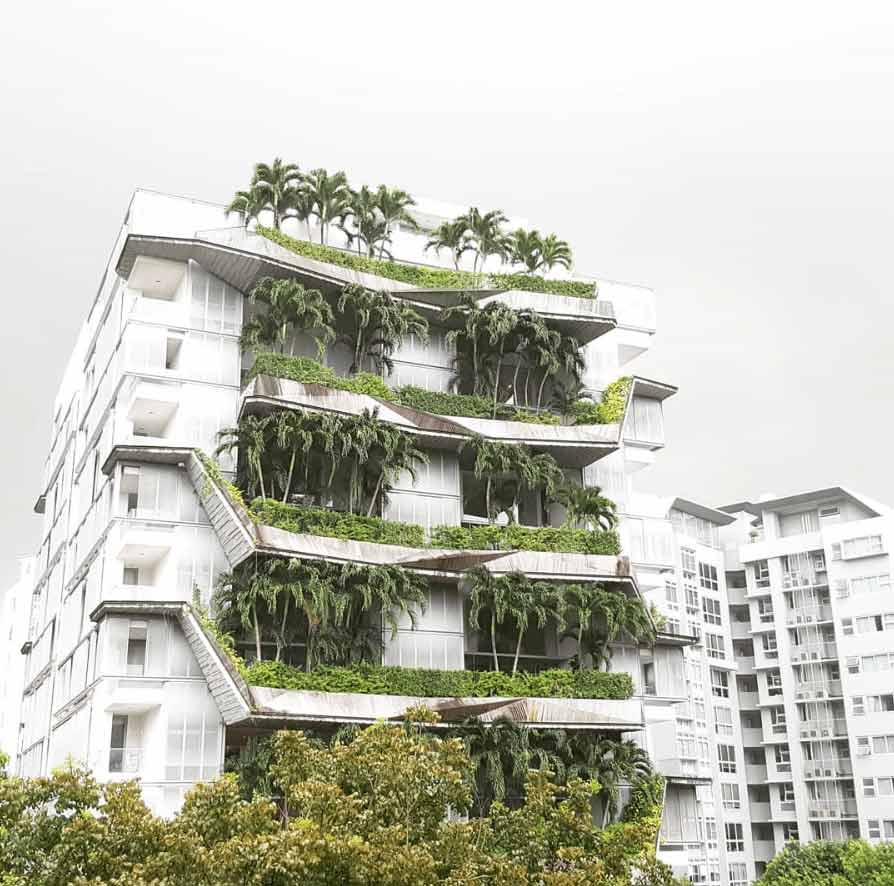 litterlessliving